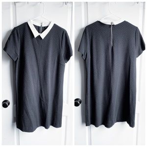 Zara basic collared polka dot mini dress